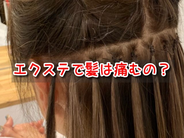 最終値下げ！人毛100% カラーエクステ 編み込み-