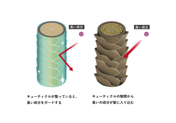 臭いがダメージホールから入り込む