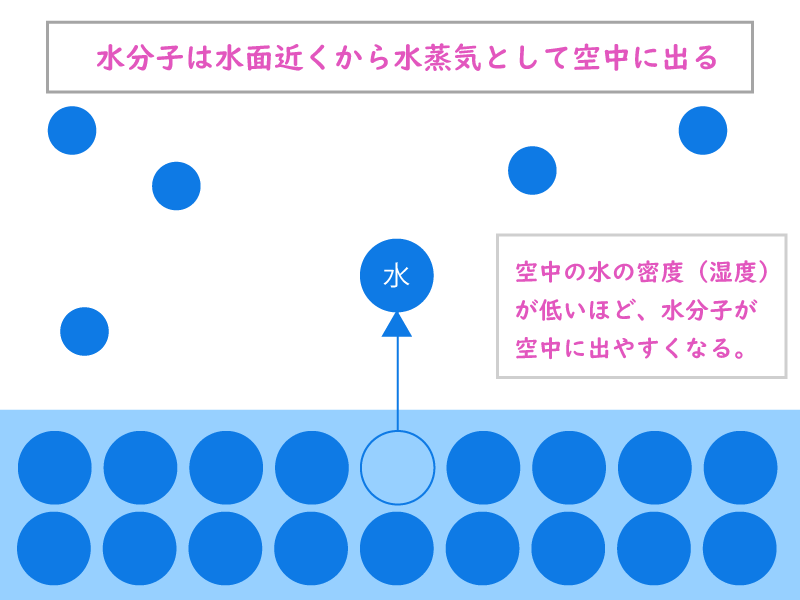 髪の毛の水分は寝てる間に蒸発する