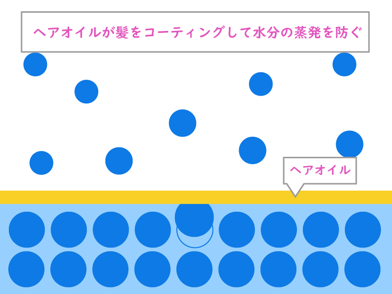 ヘアオイルが髪の毛の水分蒸発を防ぐ